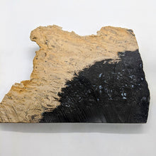 Load image into Gallery viewer, Petrified wood