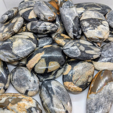 Shell Jasper Palm Stones