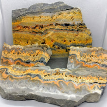 Load image into Gallery viewer, Bumble Bee Jasper