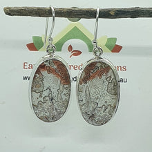 Load image into Gallery viewer, Crazy Lace Agate Earrings
