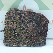 Load image into Gallery viewer, Ocean Jasper