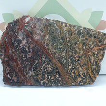 Load image into Gallery viewer, Ocean Jasper