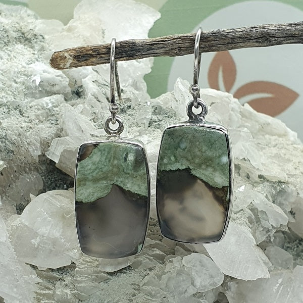 Rainforest Rhyolite Earrings