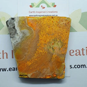 Bumble Bee Jasper