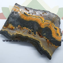Load image into Gallery viewer, Bumblebee jasper