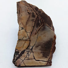 Load image into Gallery viewer, Dead Camel Jasper Slabs