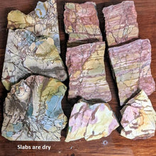 Load image into Gallery viewer, Dead Camel Jasper