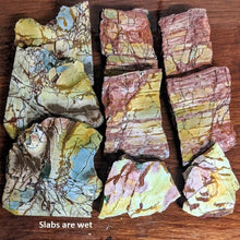 Load image into Gallery viewer, Dead Camel Jasper slabs