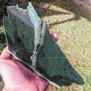 new zealand jade