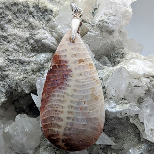 fossilised coral pendants